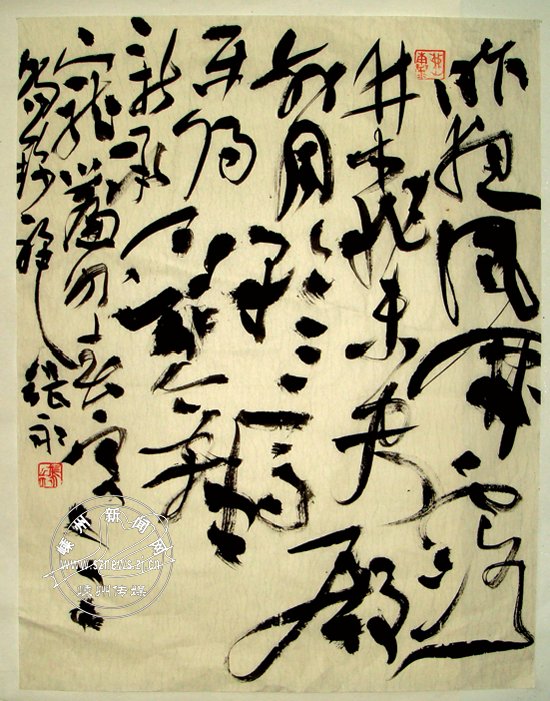 鷨