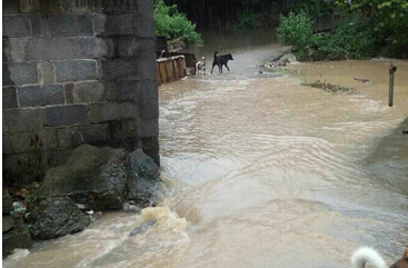 ���ж������·����ֻ�ˮ