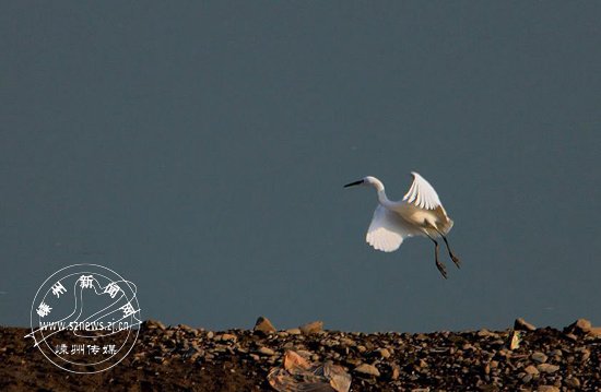 ���հ���