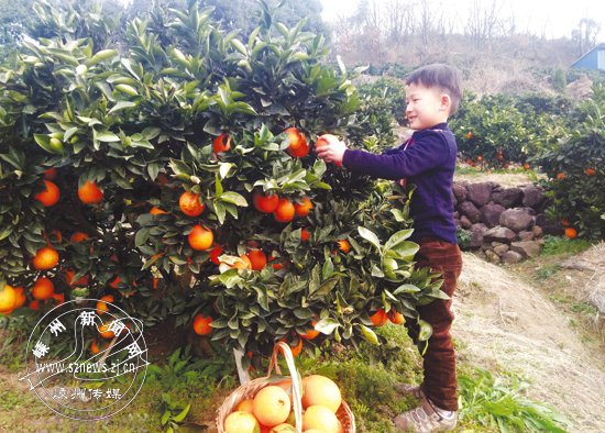 ��ȳ��켾 �����ֲ�ժӭ����