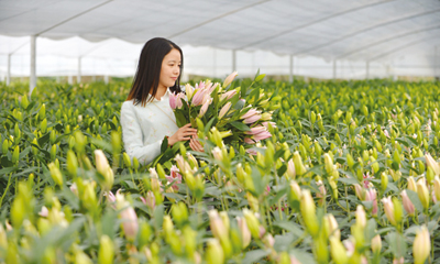 �ٺ���Ʈ�ò�ժ