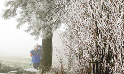 ������!����ɽ�� ��ڡ����