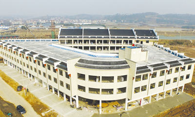 ����Ͷ��5000��Ԫ ���𡰸ߴ��ϡ�ľ���