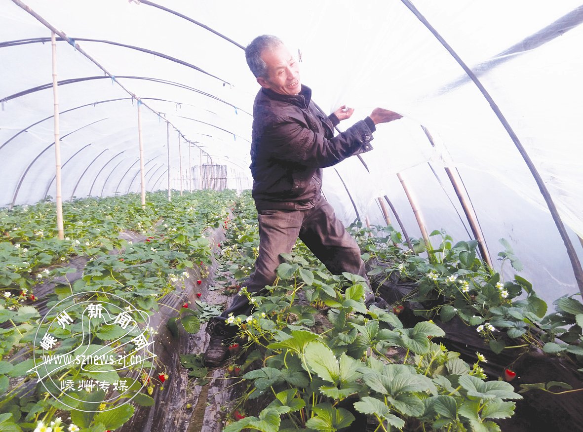 �������ߵ� ˫�㡰���¡�������