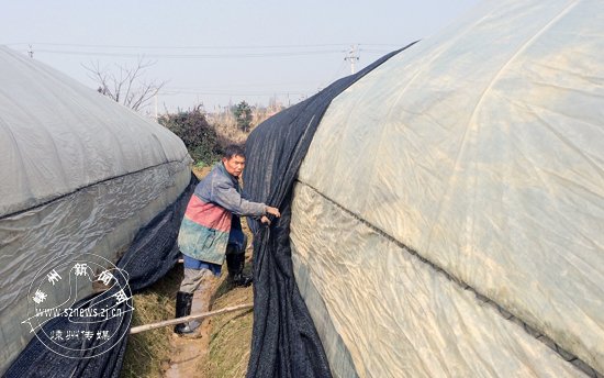 ������Ϯ ����ũ���������÷�����ů����