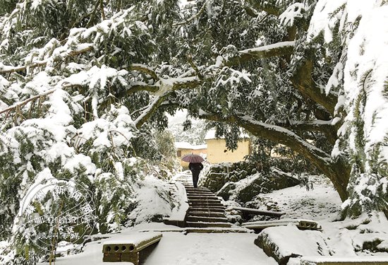 ����Ӵ����ѩ��