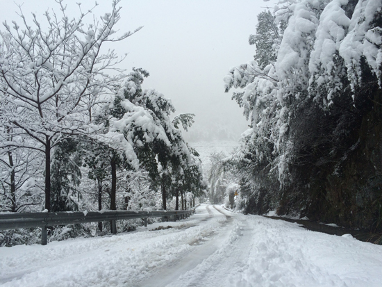 �������������ȵ�·�ѷ� �����ѩ��20����