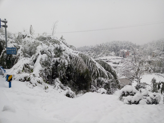 ������һ����ѩ���20CM