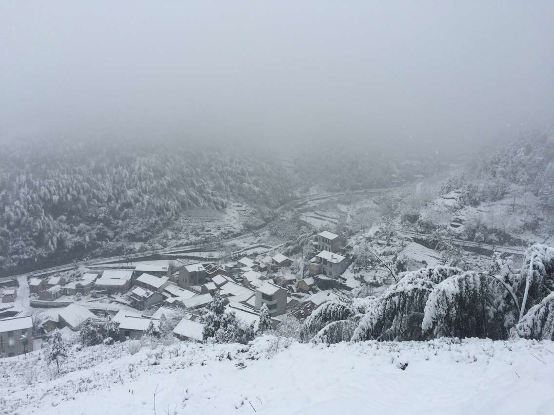 ������̫��ƽ��ѩ��