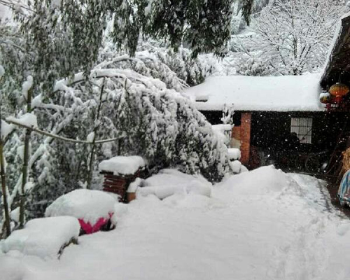 ����ɽѩ������ͼ��