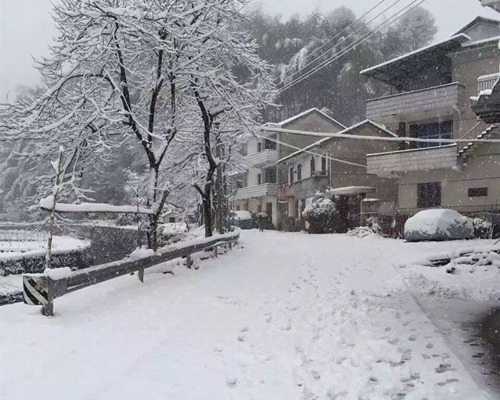 �����ѩ������ͼ��