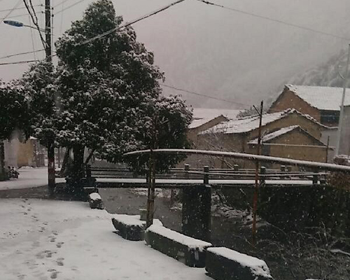 ����ѩ������ͼ��