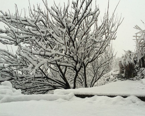 �϶�ѩ������ͼ��