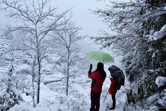 л��ѩ������ͼ��