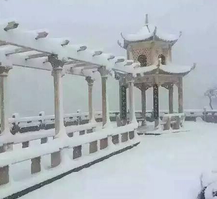 ����ѩ��