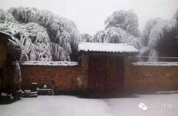 ����ѩ��