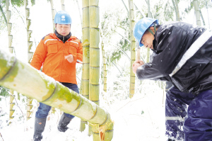 ë��ѩѹ�䵼�µ����ж� ������������æ