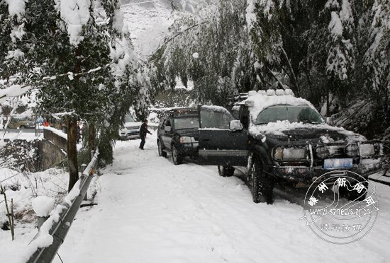 �����а���������һ֧���ľ�Ԯ�͹����ԽҰ���� 