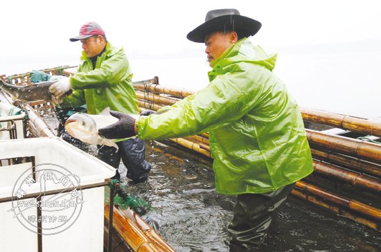 ˮ����̬�㿪�� ����ˮ����̬�㳬1000��