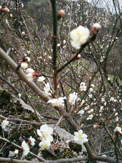 �����ϴ������������������ ��ĩ������������