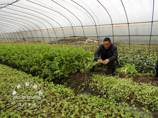 �۲�ÿ����30Ԫ ��ũ��æ����æ����