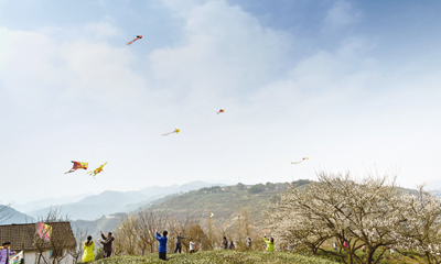 �׽��������������ݽھ��� 