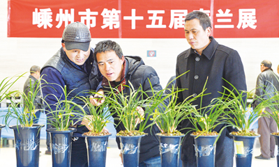 ���д���չ���տ�չ 300���辫Ʒ������չ