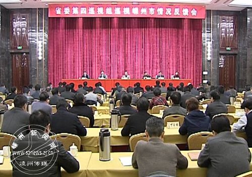 ʡί����Ѳ�����������з���Ѳ�����