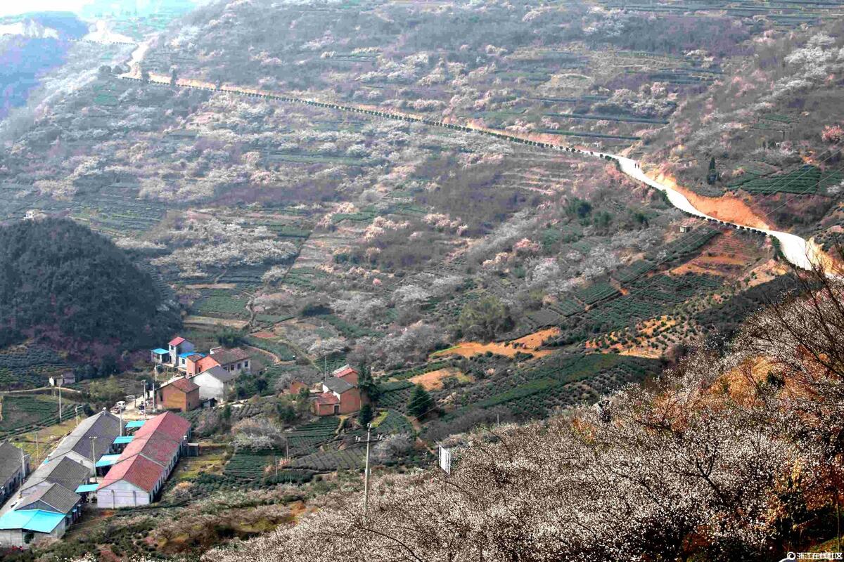 ��ұ�լ�ڼ����ˣ���ĩ����´�20�� 