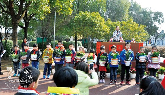 ����Сѧ����조�����Žڡ�����