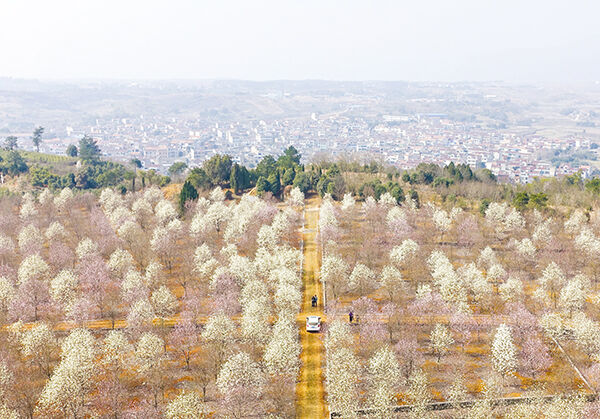 ����ů ������