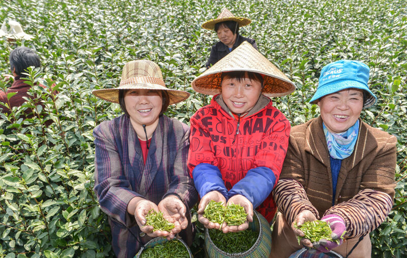 ���迪ժ�� ���ۼ۸�ÿ����780Ԫ����