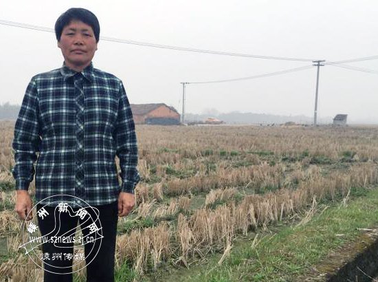 ��Σ�����Ů�Ӵ�ҵ�ɡ������󻧡�