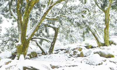 һ����ѩ�����е�ͻȻ ����ӻ�ѩ��10����