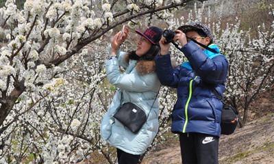 �����ˣ������ʢ�� �οͷ�������