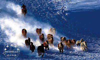 ���������İ��ϡ�����Ӱ�ұ�ѩ֮��[����]