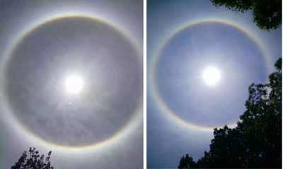 �������������������ξ���