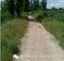 300ѧ·ӿ ѮǮ