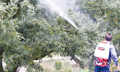 ����˹��ڷ�����ʱ ����ƽ���¶�20��Ч�����