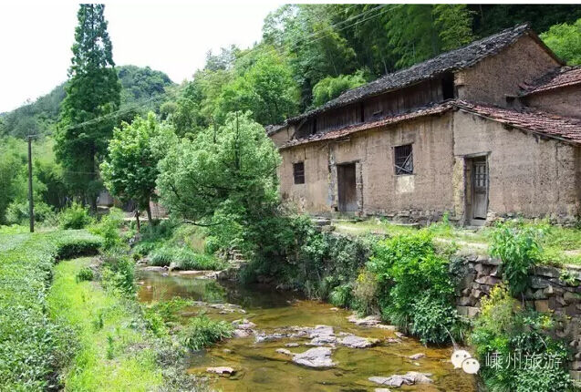 ��������ŵ������߹������� �Ͻ���������