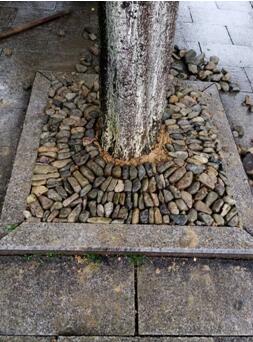 ���п�չ�����е�����Ȧ��������