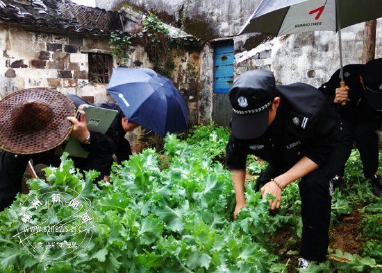 �ߺ��ɳ����񾯰γ�һ�������ֲ��