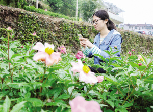 ������ҩ��������