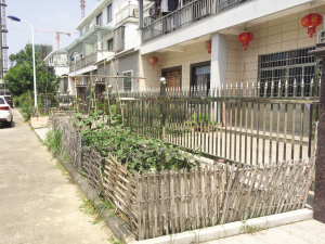 ����Ȧ���ֲ˴˷粻�ɳ�