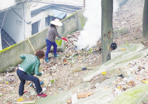 ����������Ⱦ����