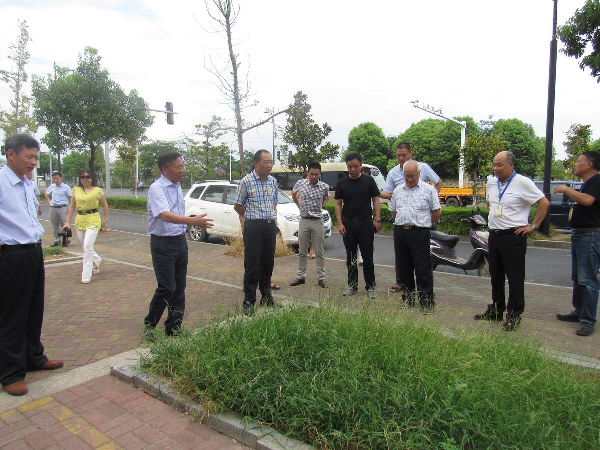 �˴�������鴴��������