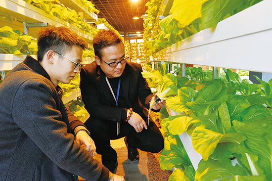 ������լ�䡱��������