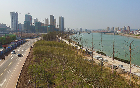 ������������������