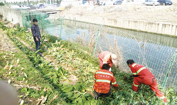 �����������ӹ����� �����̻����ֲ�