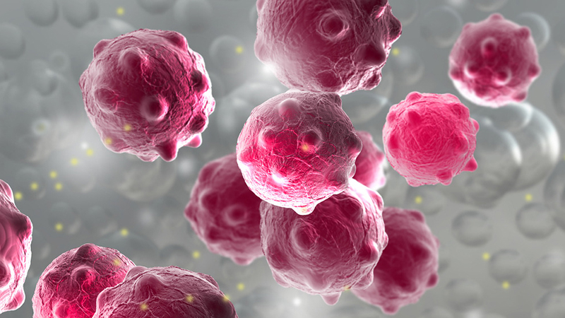 ϲ��Ϯ������ ŵ�粡���Ǹ�ʲô����